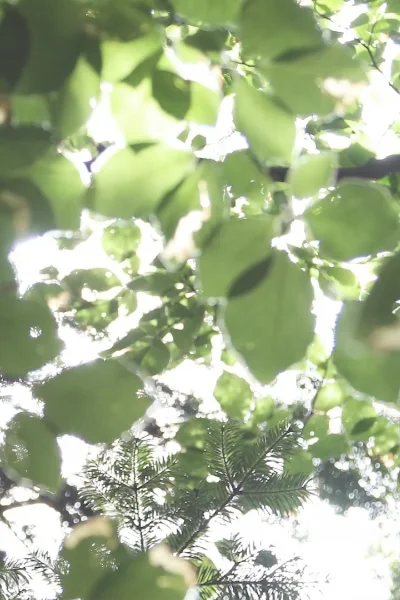 Ethisch und nachhaltig